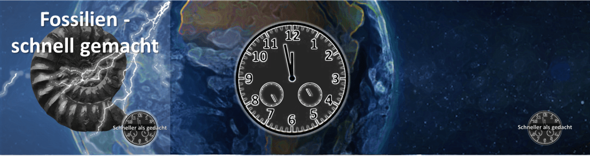 Fossilien – schnell&nbsp;gemacht
