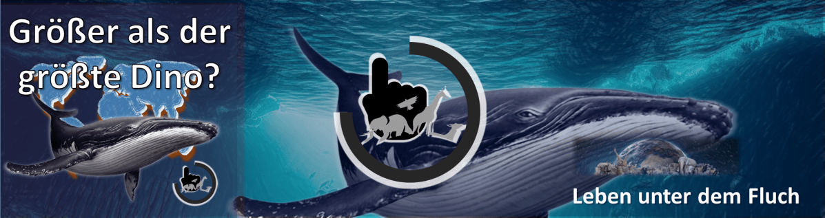 Größer als der größte&nbsp;Dino?