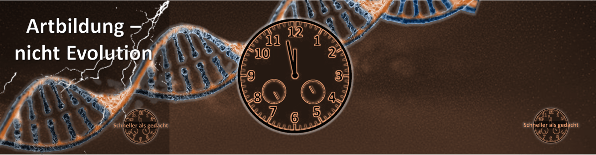 Artbildung – nicht&nbsp;Evolution