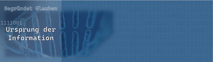 Ursprung der Information